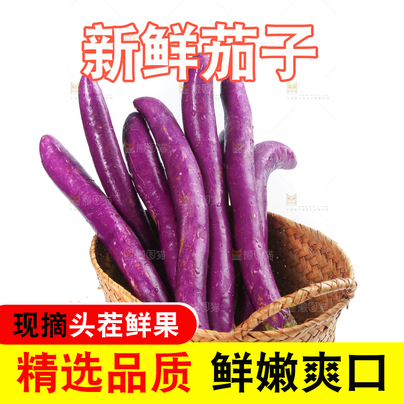 白底上的紫长茄子