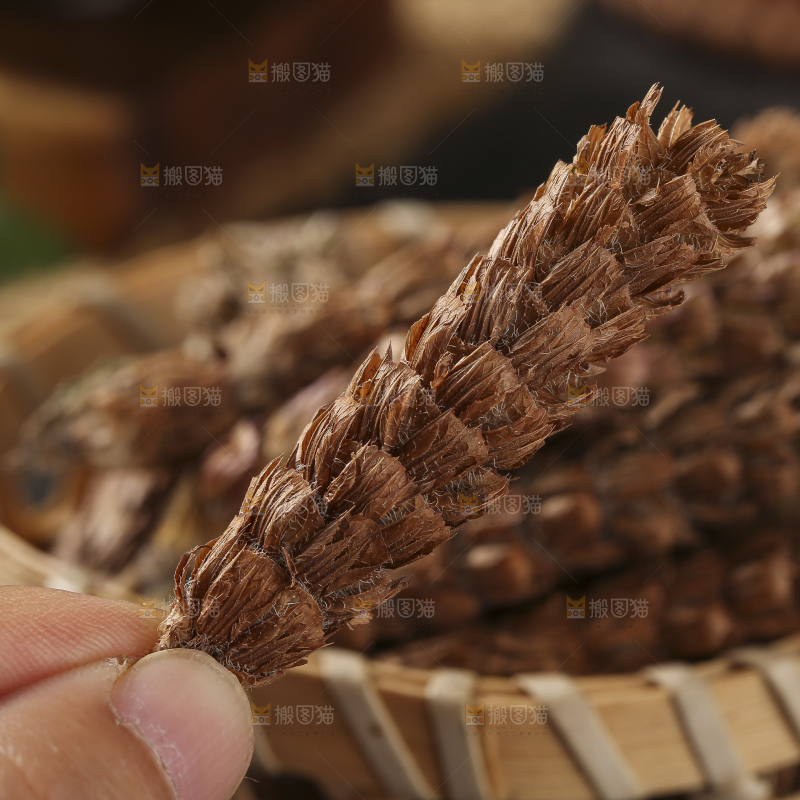 木底上的夏枯草