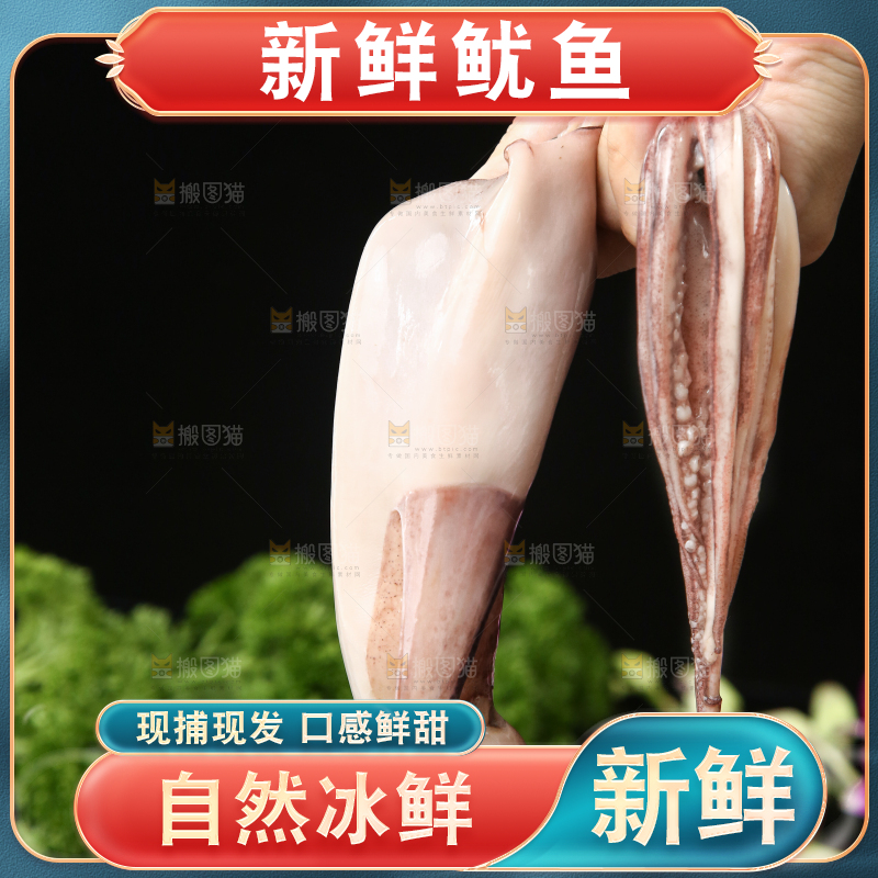 黑底上的鱿鱼