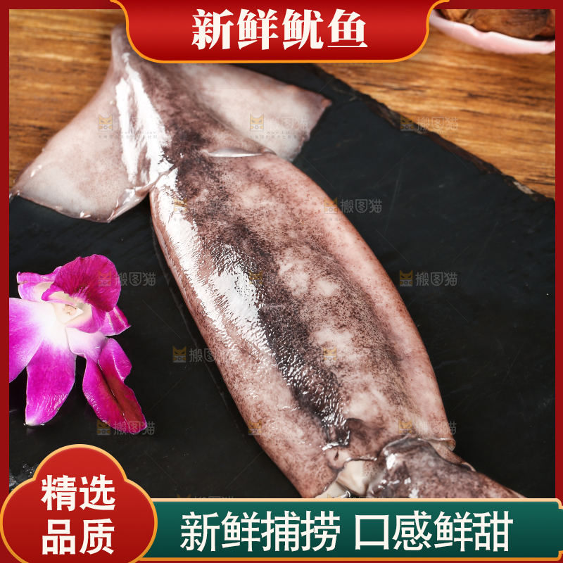 黑底上的鱿鱼