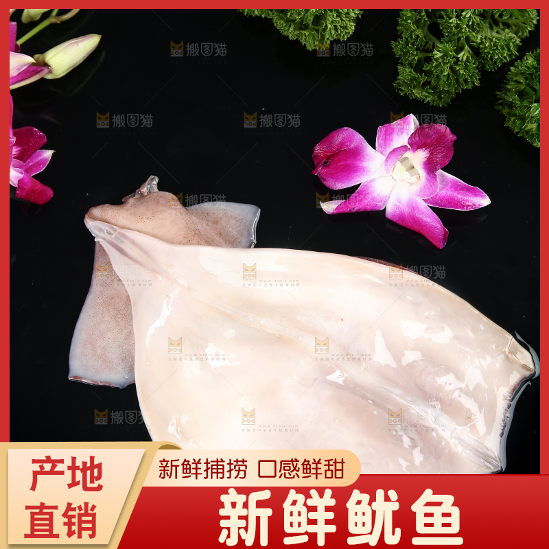 黑底上的鱿鱼