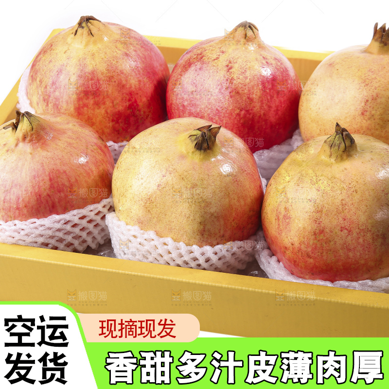 白底上的突尼斯软籽石榴