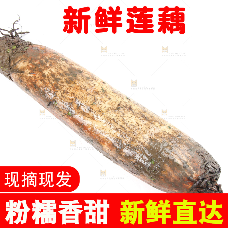 白底上放着莲藕