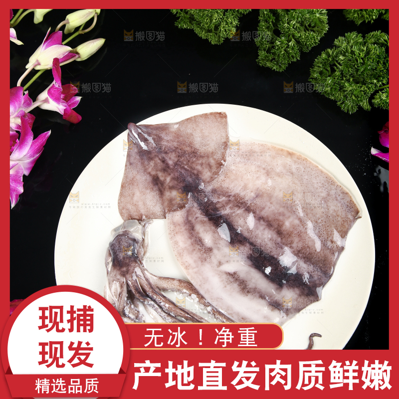 黑底上的鱿鱼