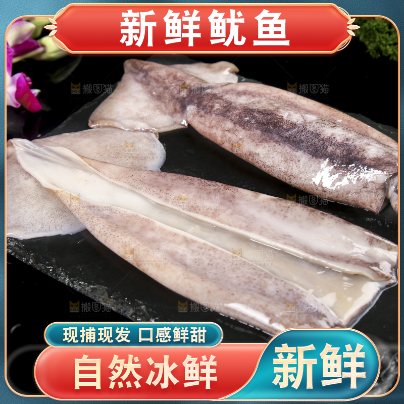 黑底上的鱿鱼