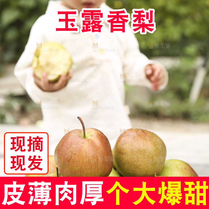 手里拿着玉露香梨