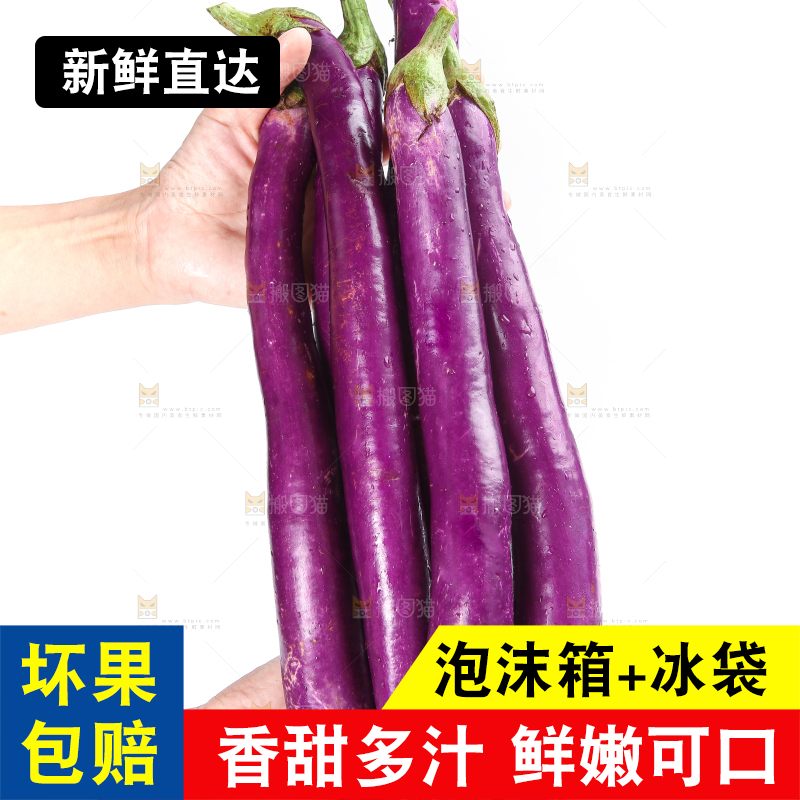 白底上的紫长茄子