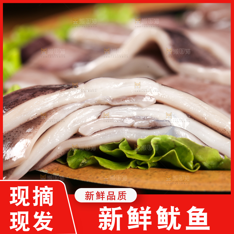 黑底上的鱿鱼