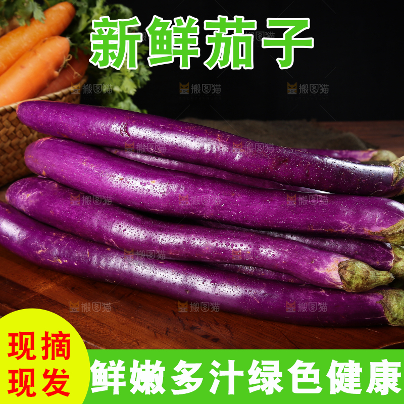 深底上的紫长茄子