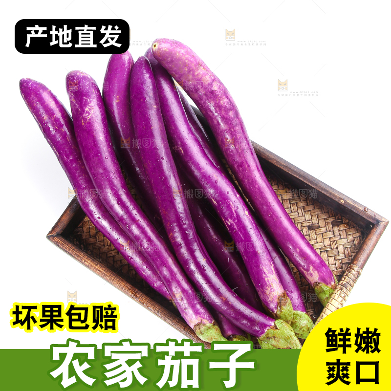 白底上的紫长茄子