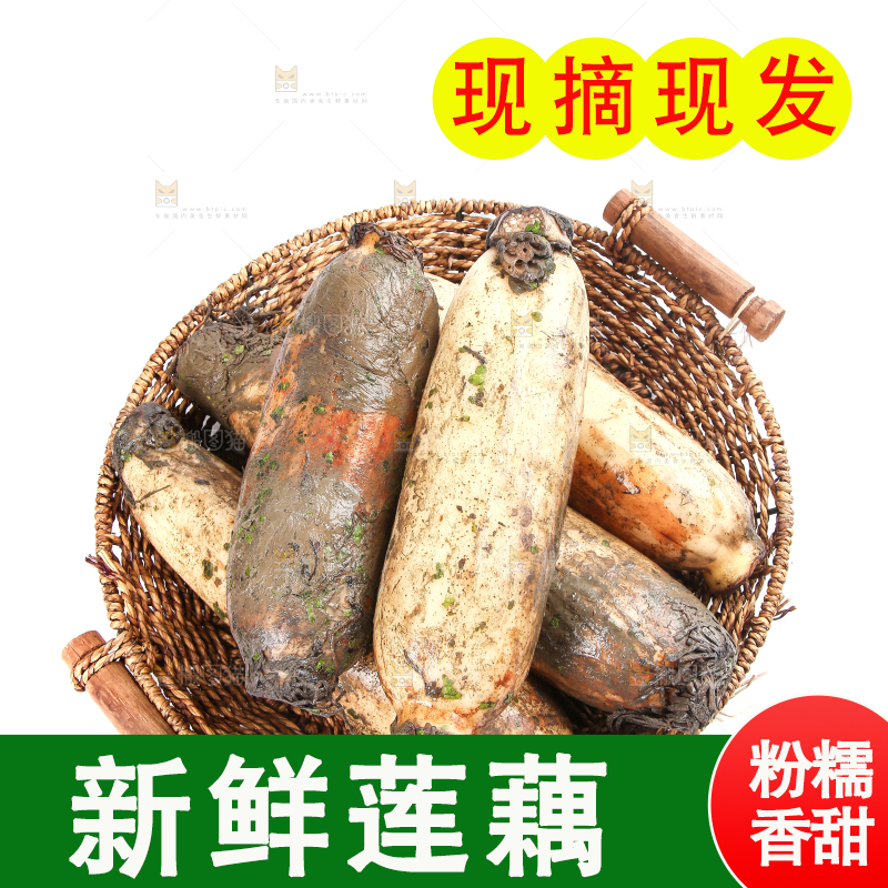 白底上放着莲藕