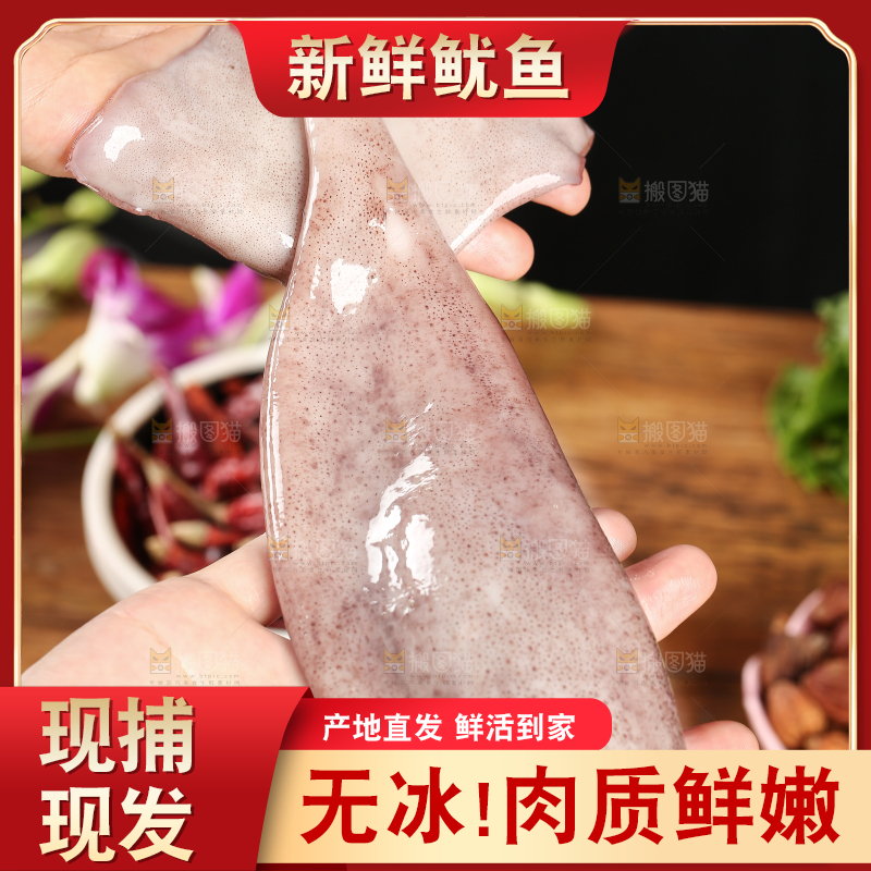 黑底上的鱿鱼