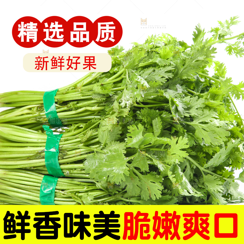 白底上的芹菜