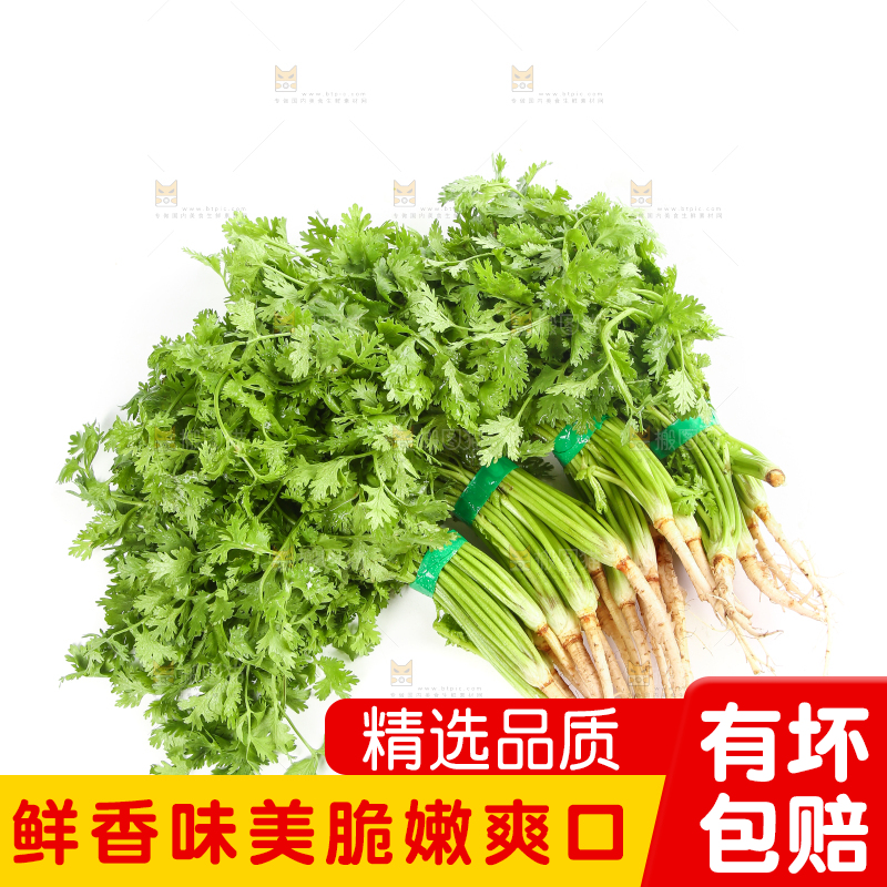 白底上的芹菜