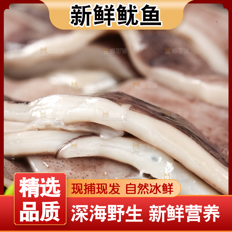 黑底上的鱿鱼