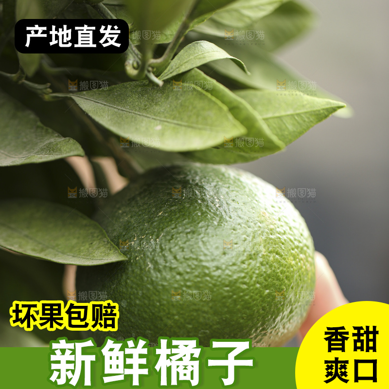 户外的青橘
