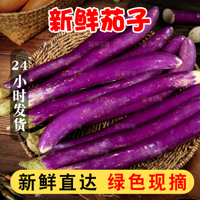 深底上的紫长茄子