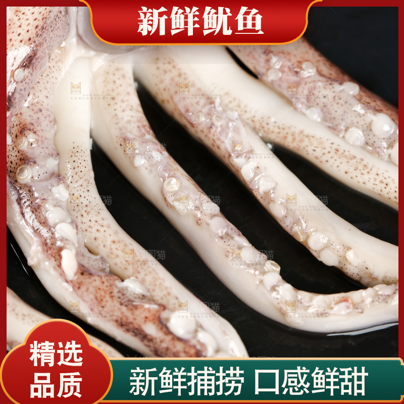 黑底上的鱿鱼