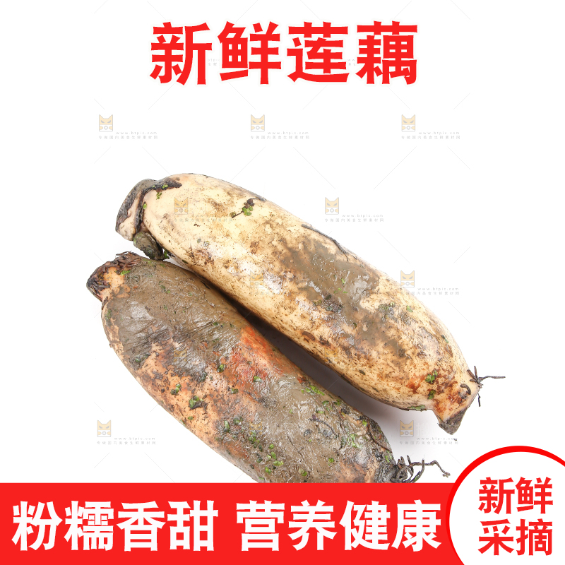 白底上放着莲藕