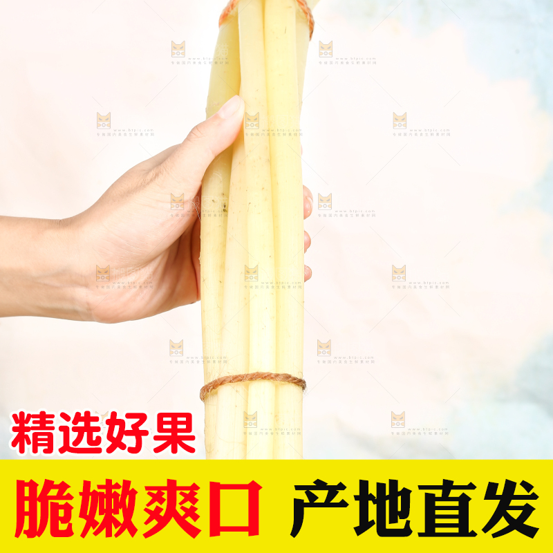 手里拿着藕带