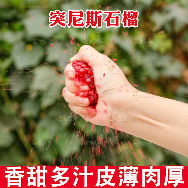 手里的突尼斯软籽石榴爆汁