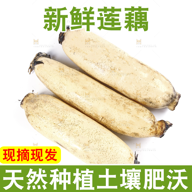 白底上放着莲藕