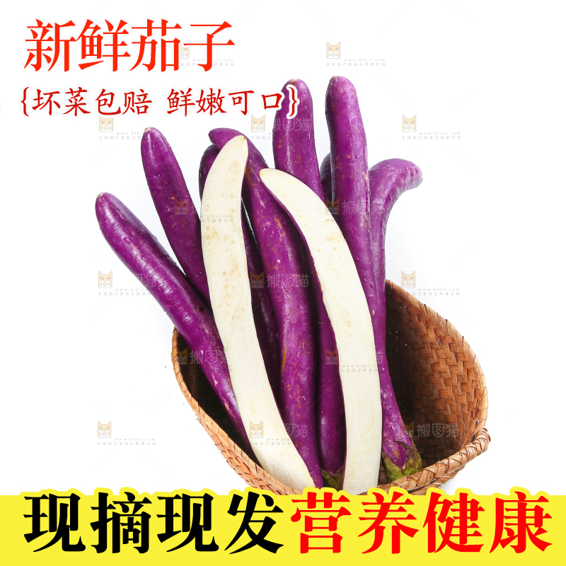 白底上的紫长茄子