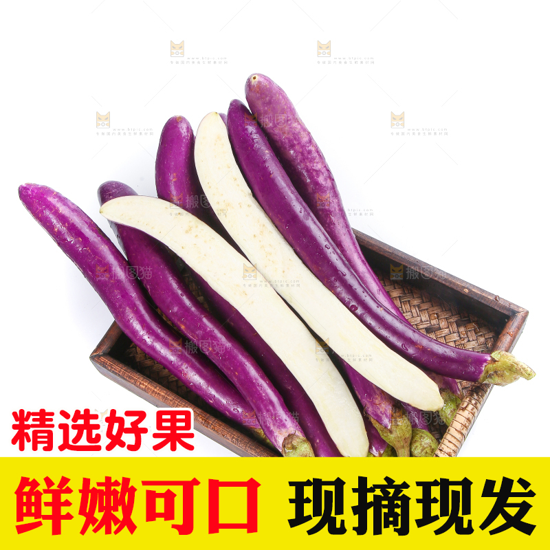 白底上的紫长茄子