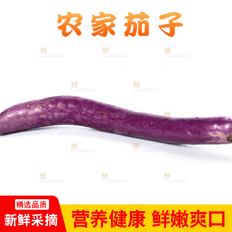 白底上的紫长茄子