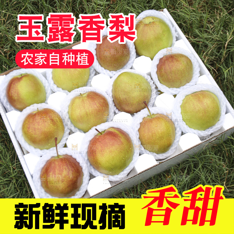 深底上的玉露香梨