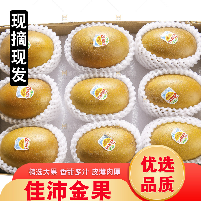 白底上的佳沛奇异果