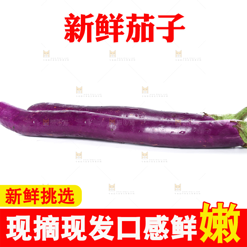 白底上的紫长茄子