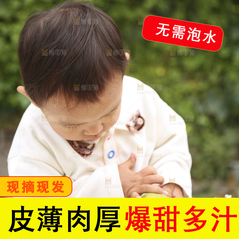 手里拿着玉露香梨