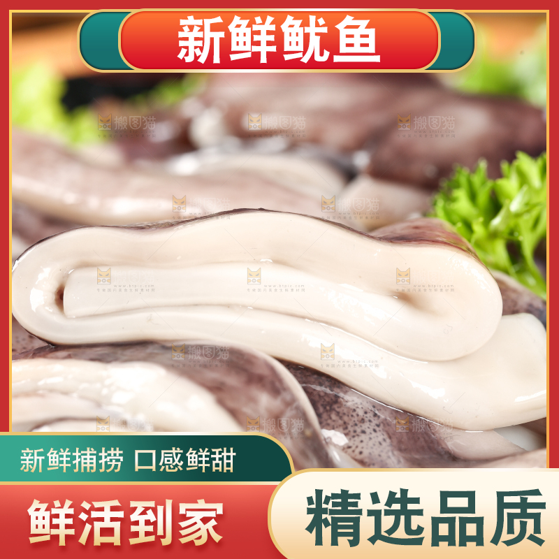 黑底上的鱿鱼