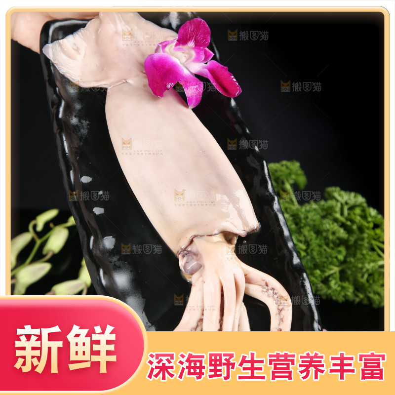 黑底上的鱿鱼