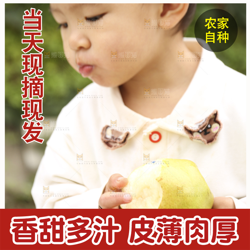 手里拿着玉露香梨