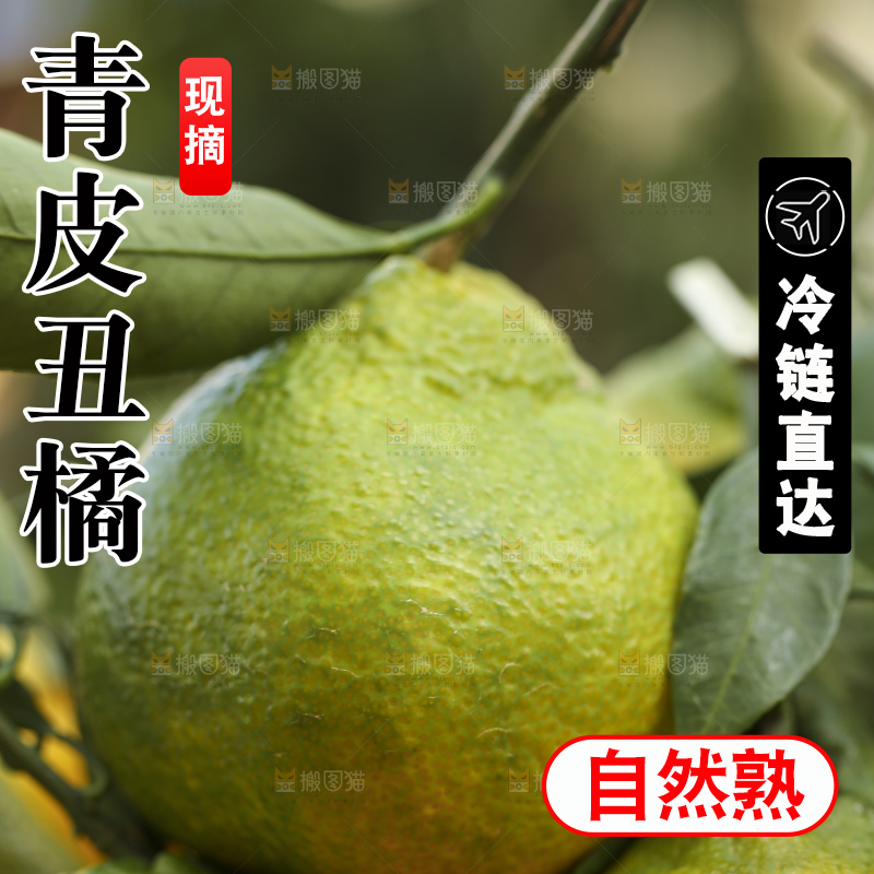 深底上的青皮丑橘