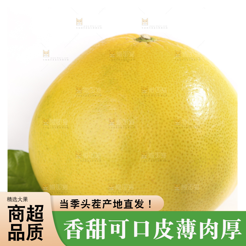 白底上的黄金葡萄柚