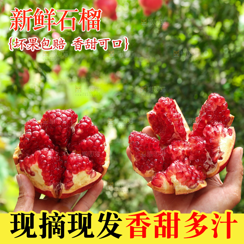 石榴产地