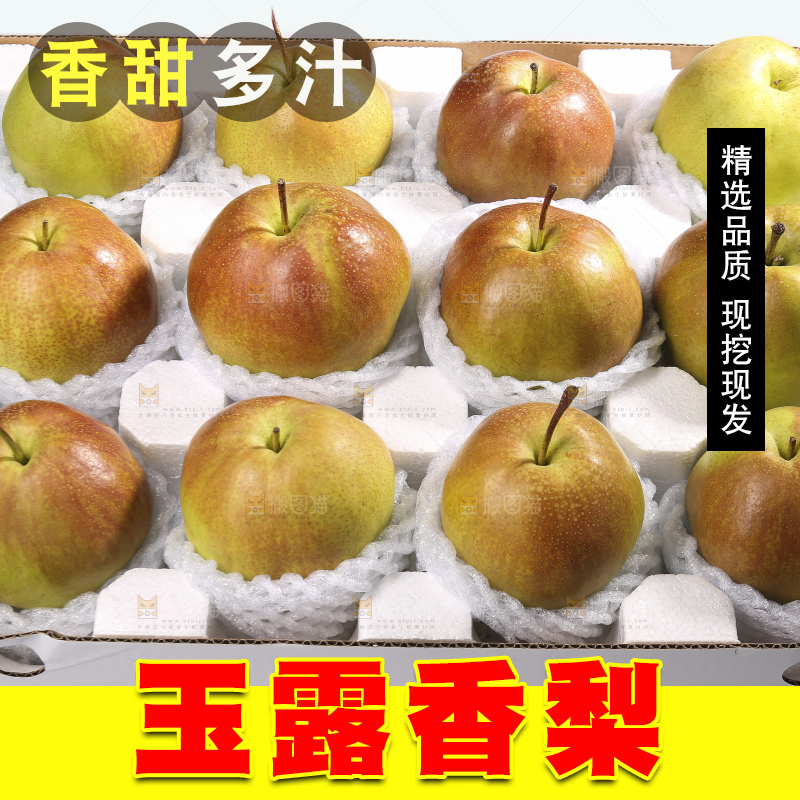 白底上的玉露香梨