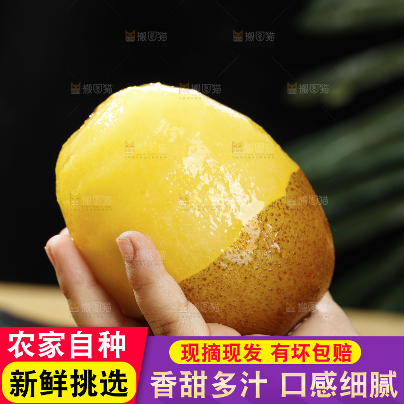 深底上放着佳沛奇异果