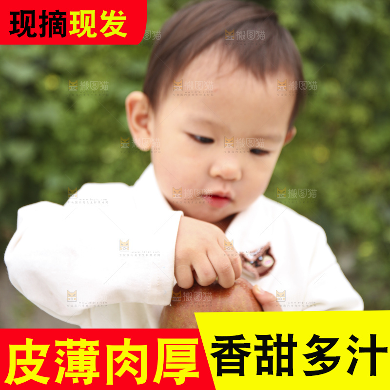 手里拿着玉露香梨