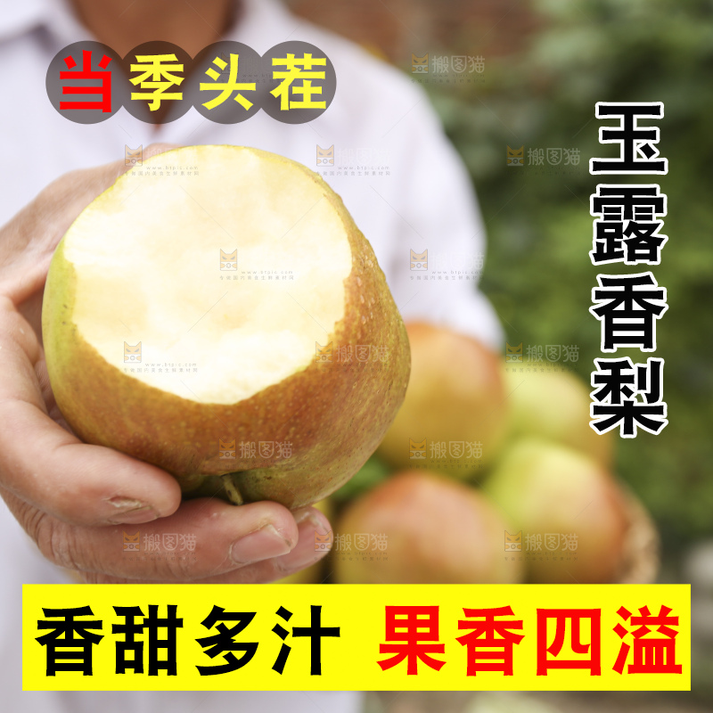 手里拿着玉露香梨