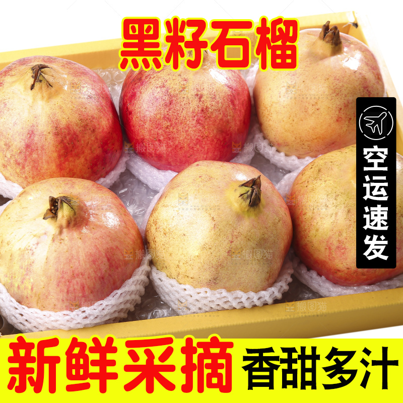 白底上的突尼斯软籽石榴
