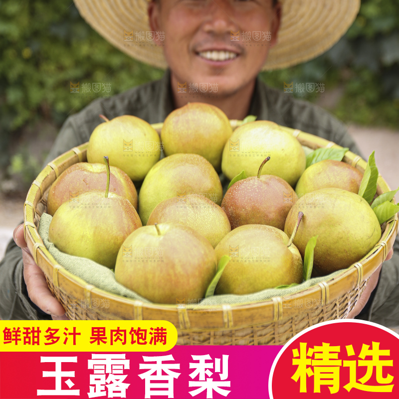 手里拿着玉露香梨