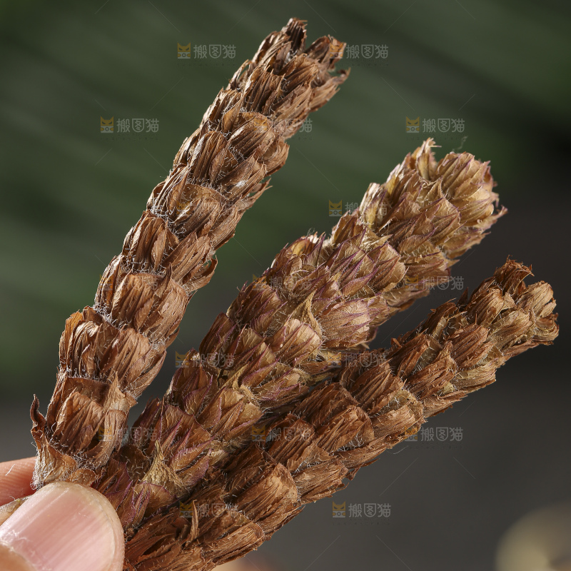 木底上的夏枯草