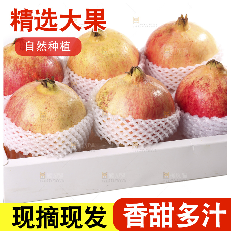 白底上的突尼斯软籽石榴