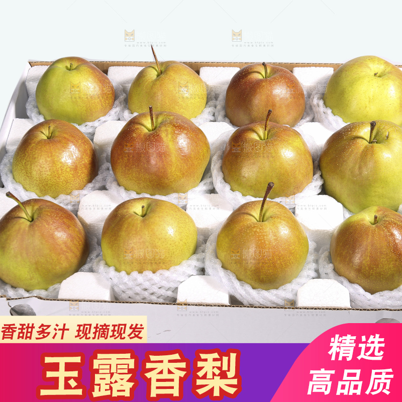 白底上的玉露香梨