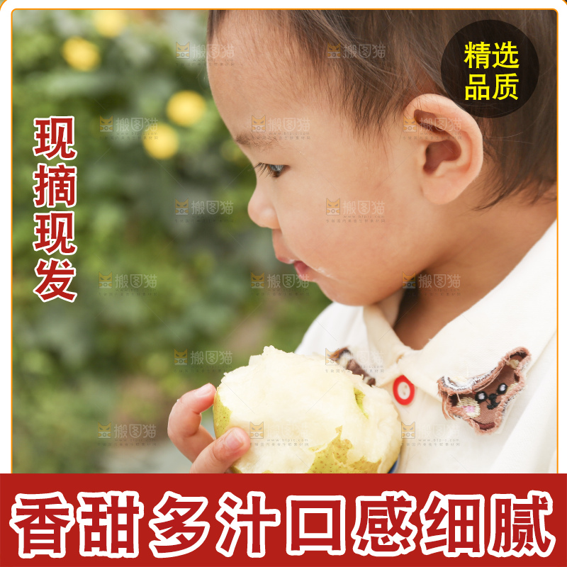 手里拿着玉露香梨