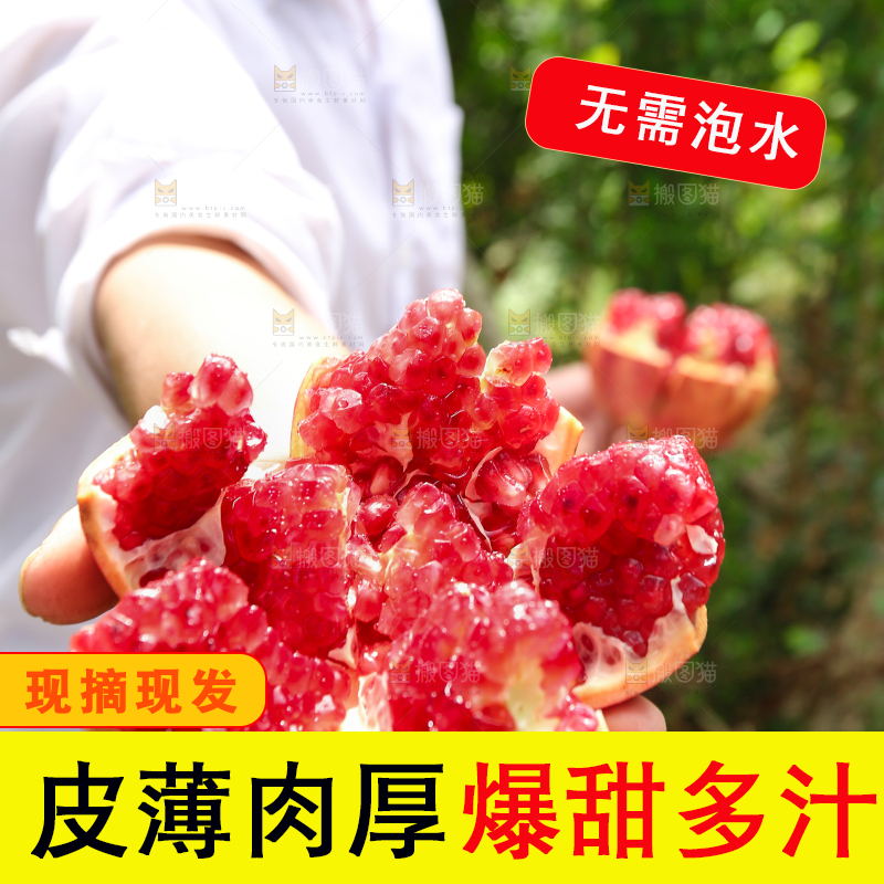 石榴产地